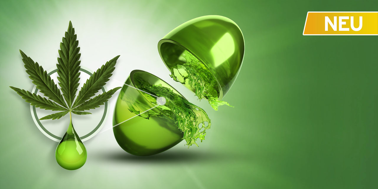 Grüne Kapsel Cannabis